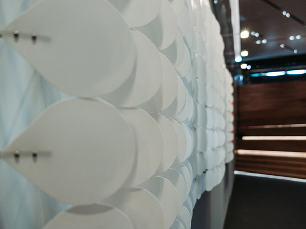 佐君是什么意思