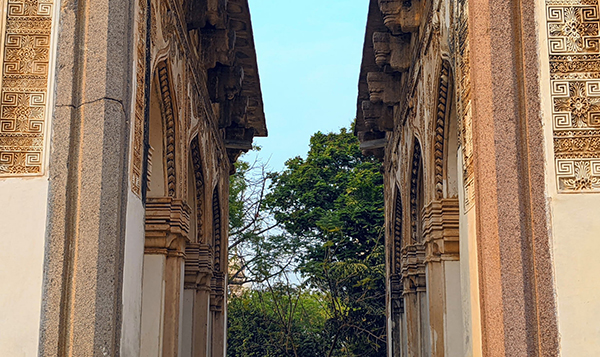 察言观行形容什么动物