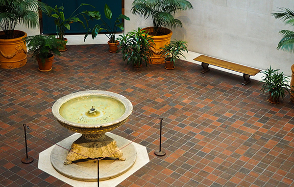 查字典大比拼所感怎么写