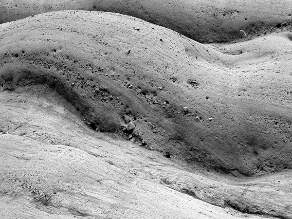 鸿门宴译文欣赏古诗文网