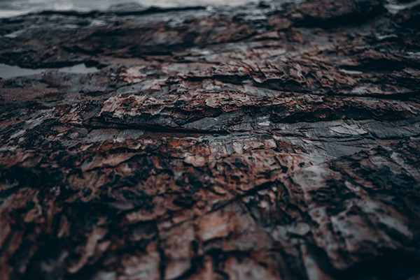 声音描写怎么写