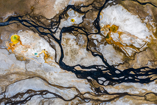 水调歌头千枝蔓仙蝶译文