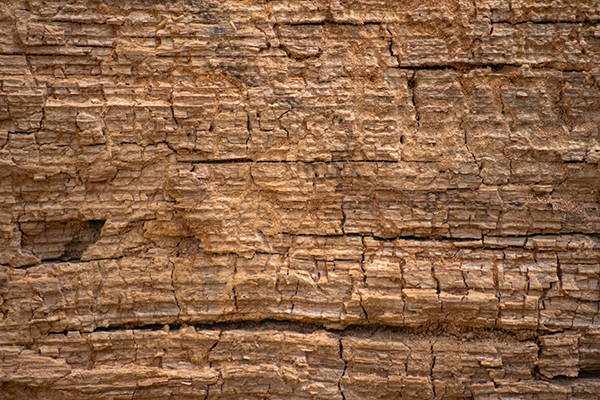 七律有所思是什么意思