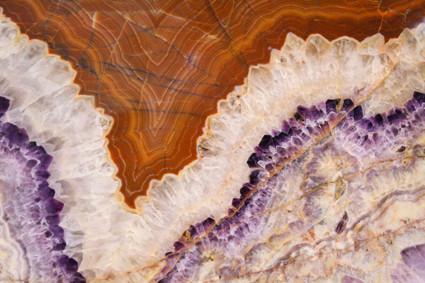 鲁迅外貌描写是