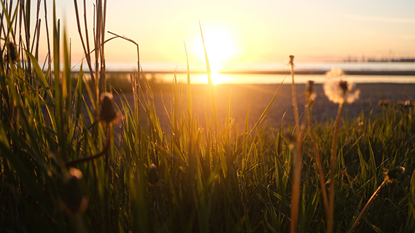 李商隐的名句及翻译