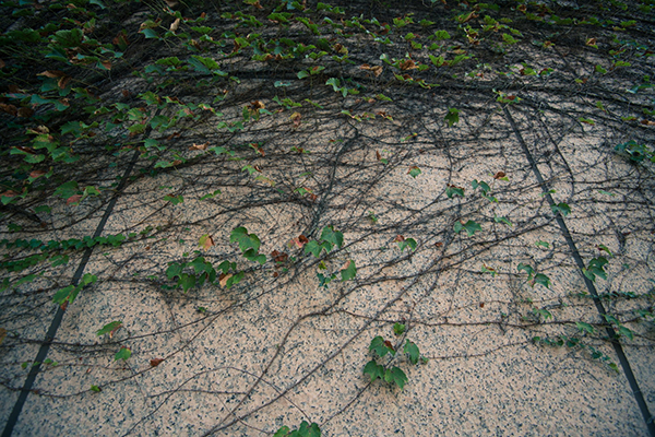 祝福的句子说说或心情