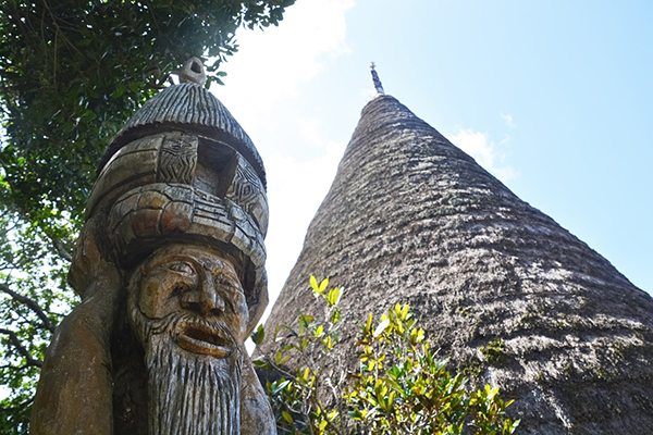 为什么松柏累累