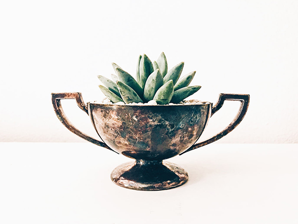 诗句什么又绿江南岸