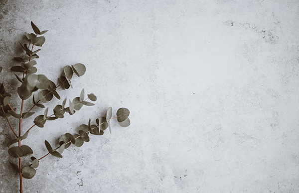 送君南浦外怎么样