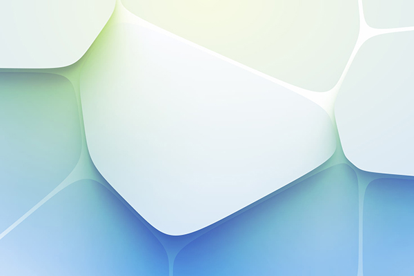 暑期社会实践的句子