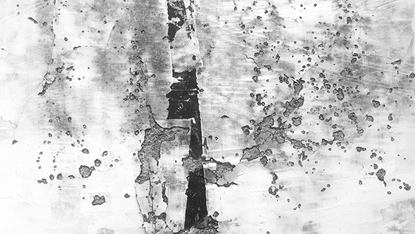 叶翦春云绿怎么拼音