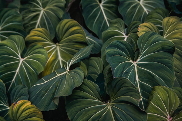 关于许愿瓶的唯美句子