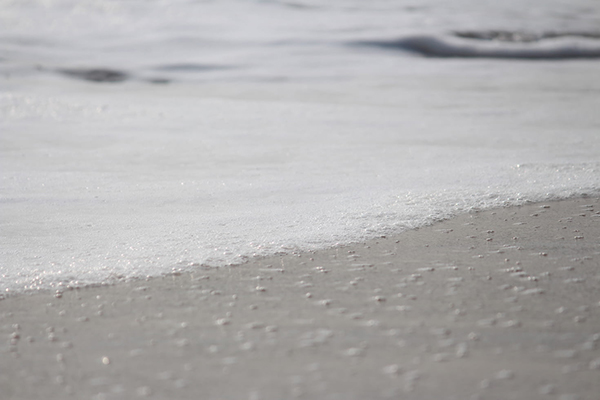 有关台风的诗词有哪些