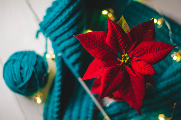 曾巩哪些诗词在国外发行