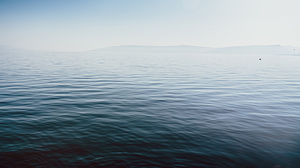 自缘身在此山中全诗