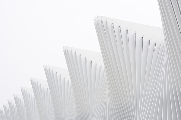 闲居赠裴秀才迪带拼音